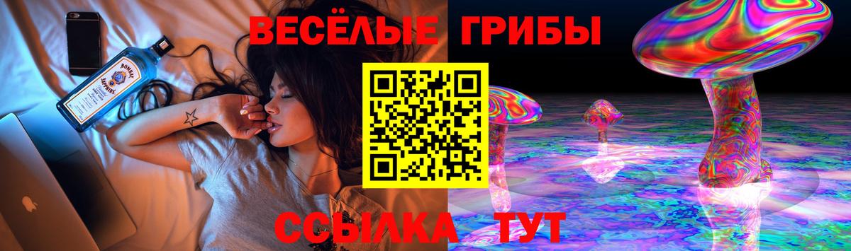 Владивосток  где можно купить наркотик  Вход с VPN  Галлюциногенные грибы мицелий  Галлюциногенные грибы Magic Shrooms 